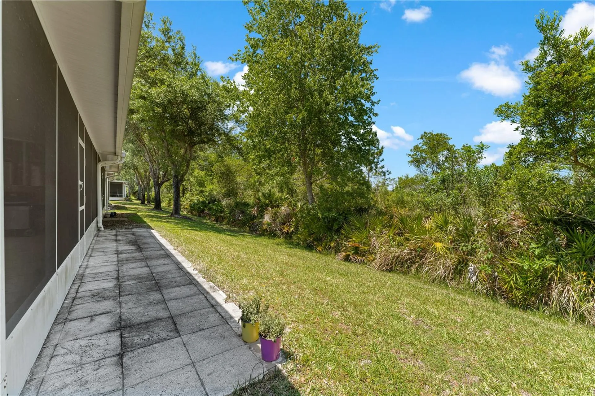 19182 Lake Audubon Drive Tampa FL 33647