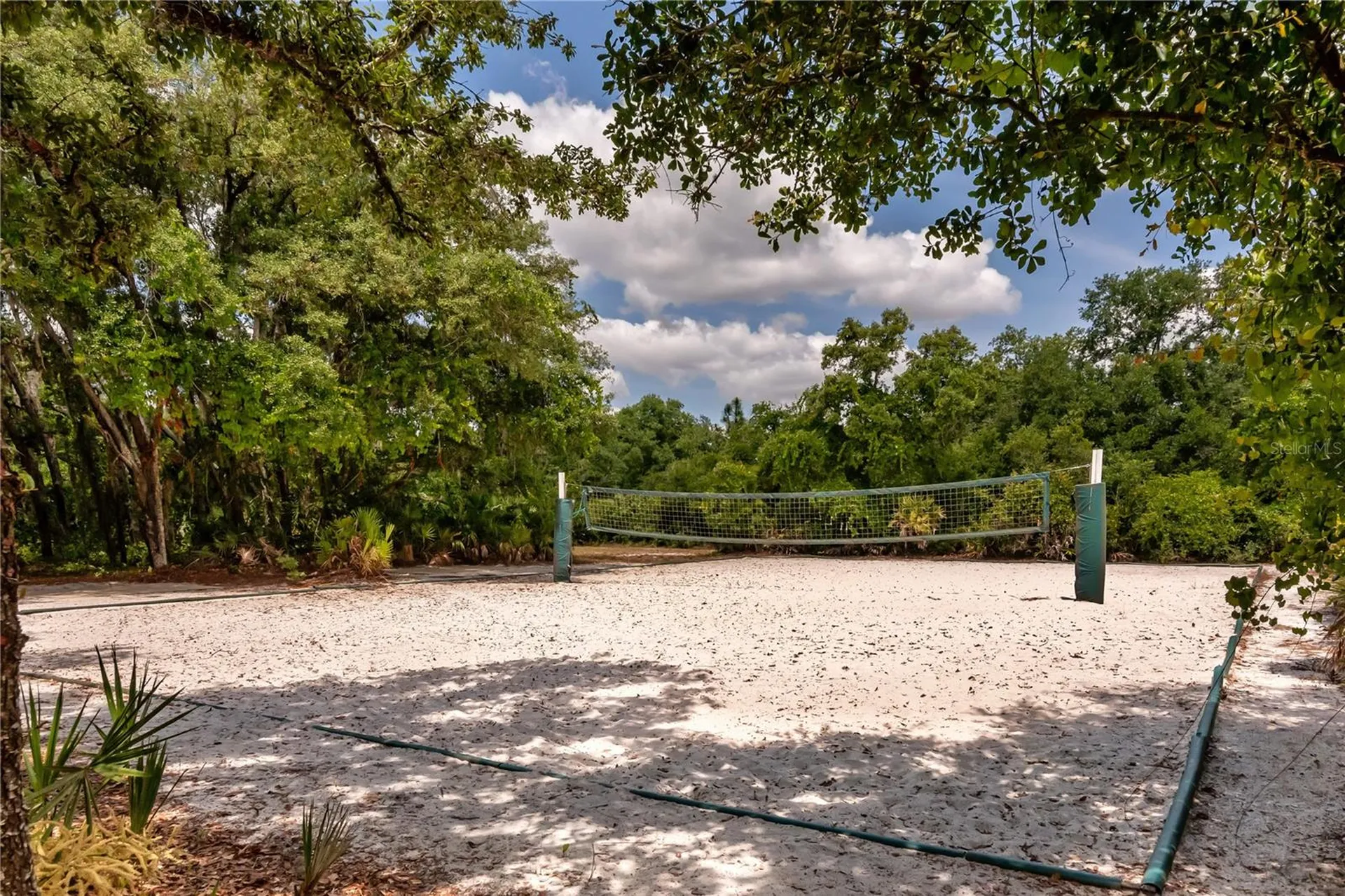 16269 Yelloweyed Drive Clermont FL 34714