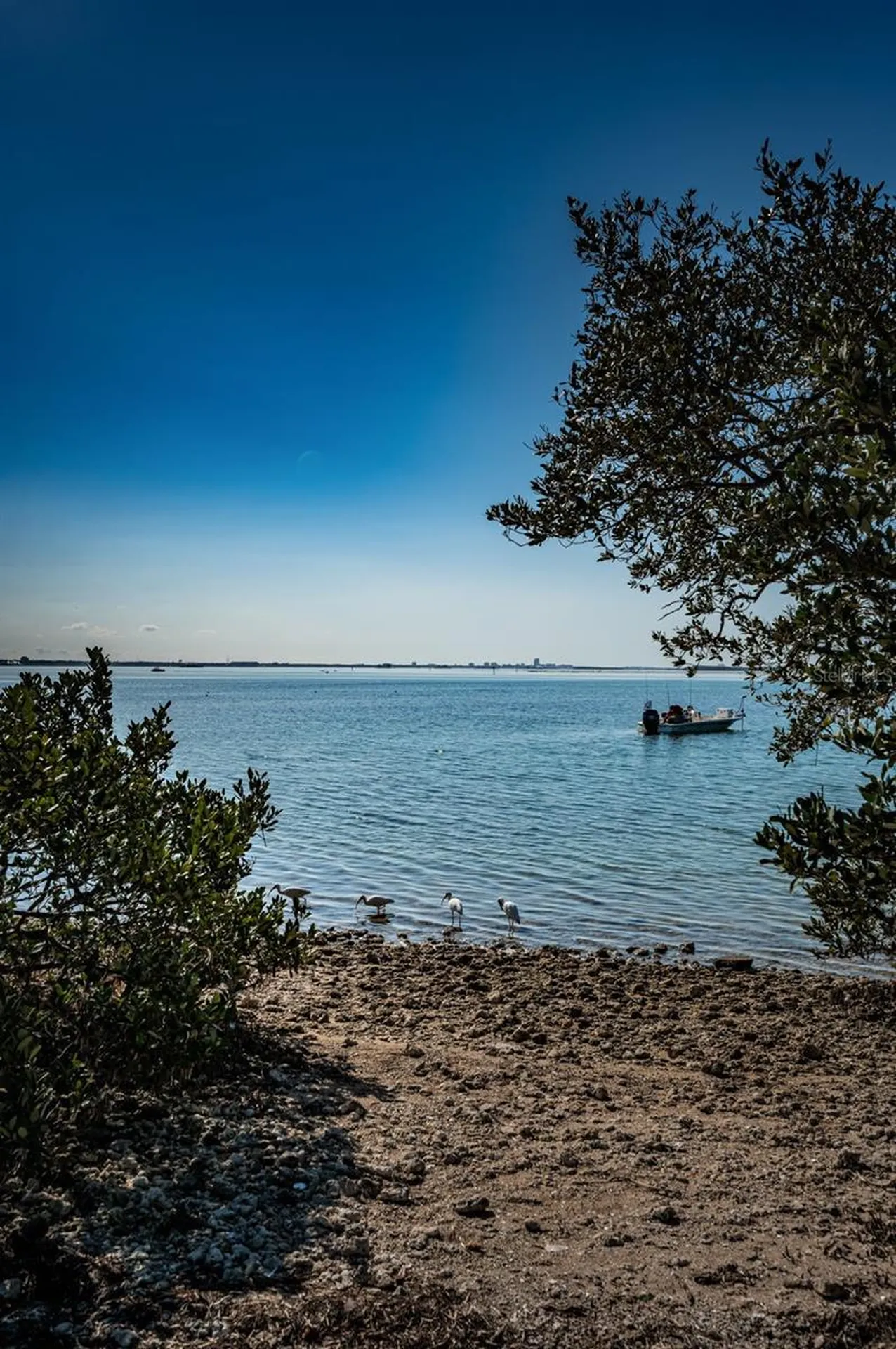 2 Causeway Boulevard Dunedin FL 34698
