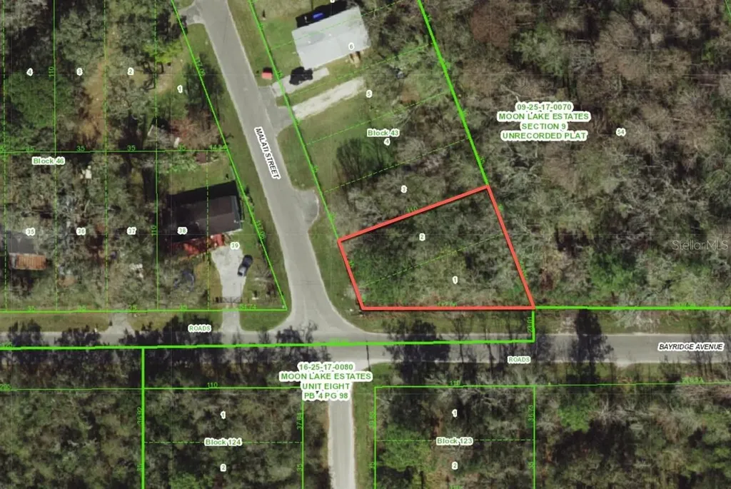 11000 Malati Street New Port Richey FL 34654