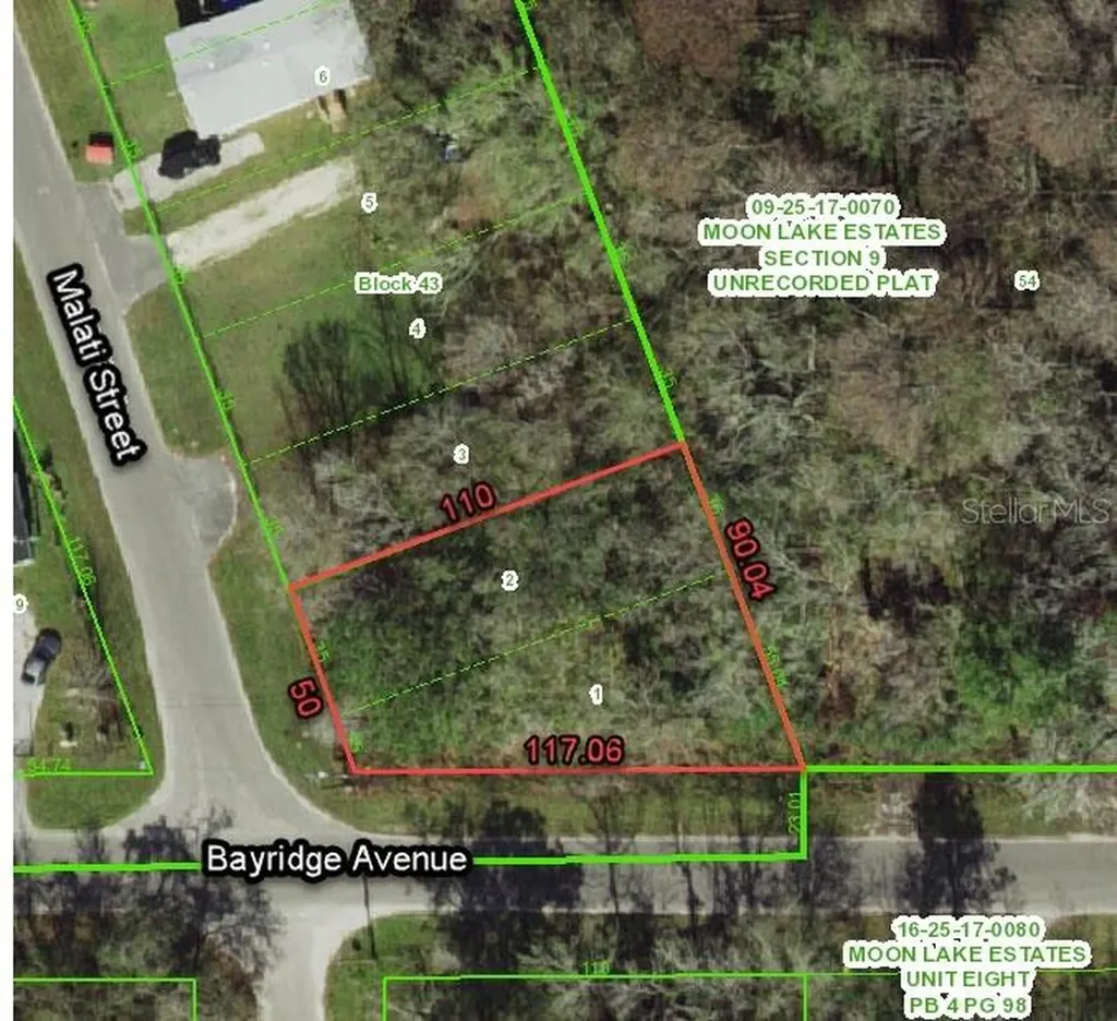 11000 Malati Street New Port Richey FL 34654