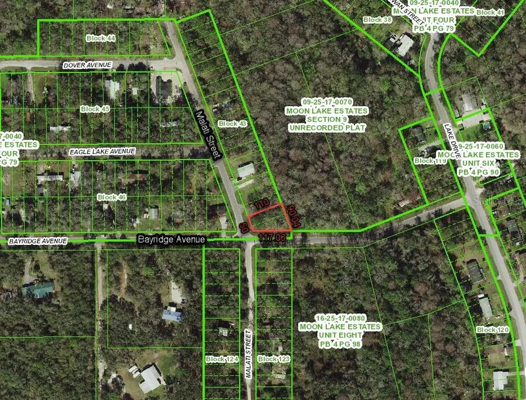11000 Malati Street New Port Richey FL 34654