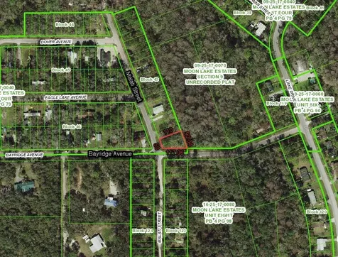 11000 Malati Street New Port Richey FL 34654