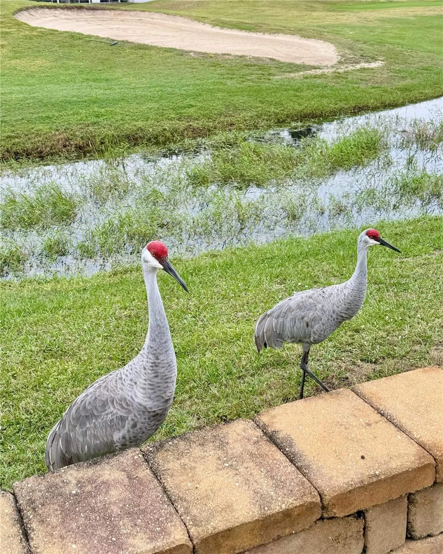 146 Jack Nicklaus Lane Davenport FL 33837
