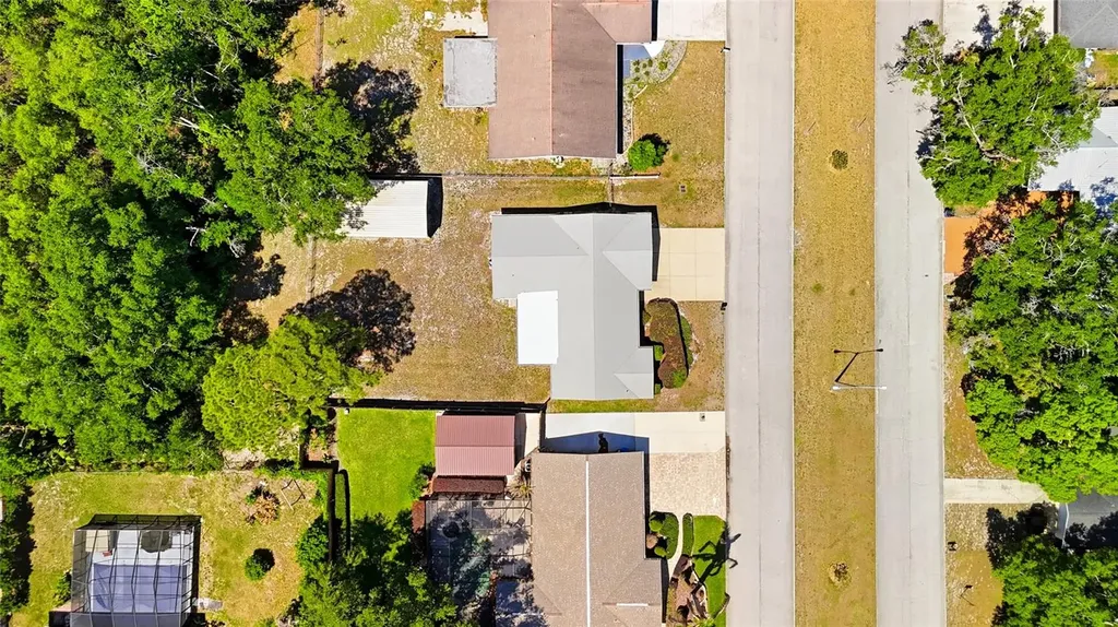 26916 Magnolia Boulevard Lutz FL 33559