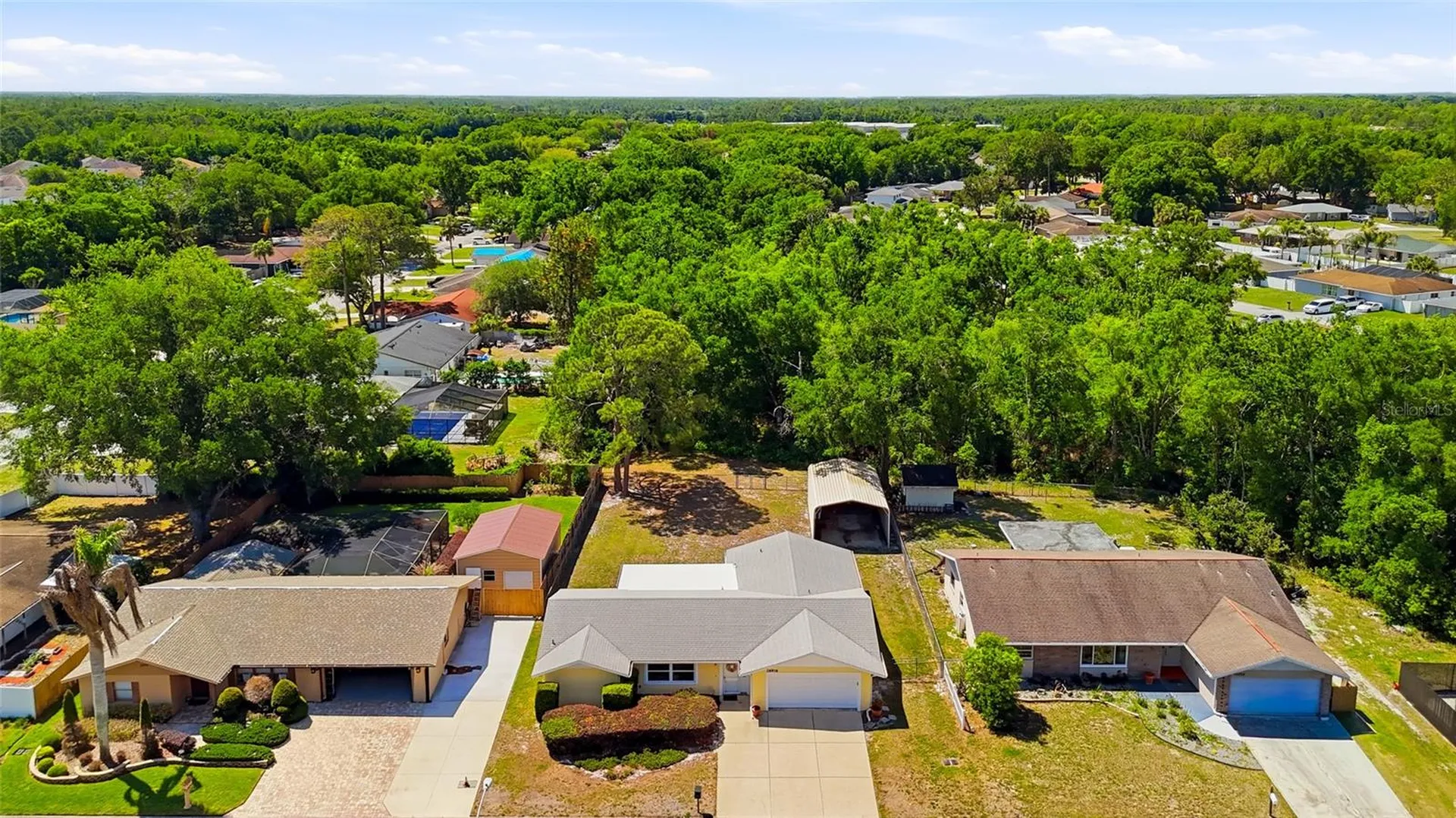 26916 Magnolia Boulevard Lutz FL 33559