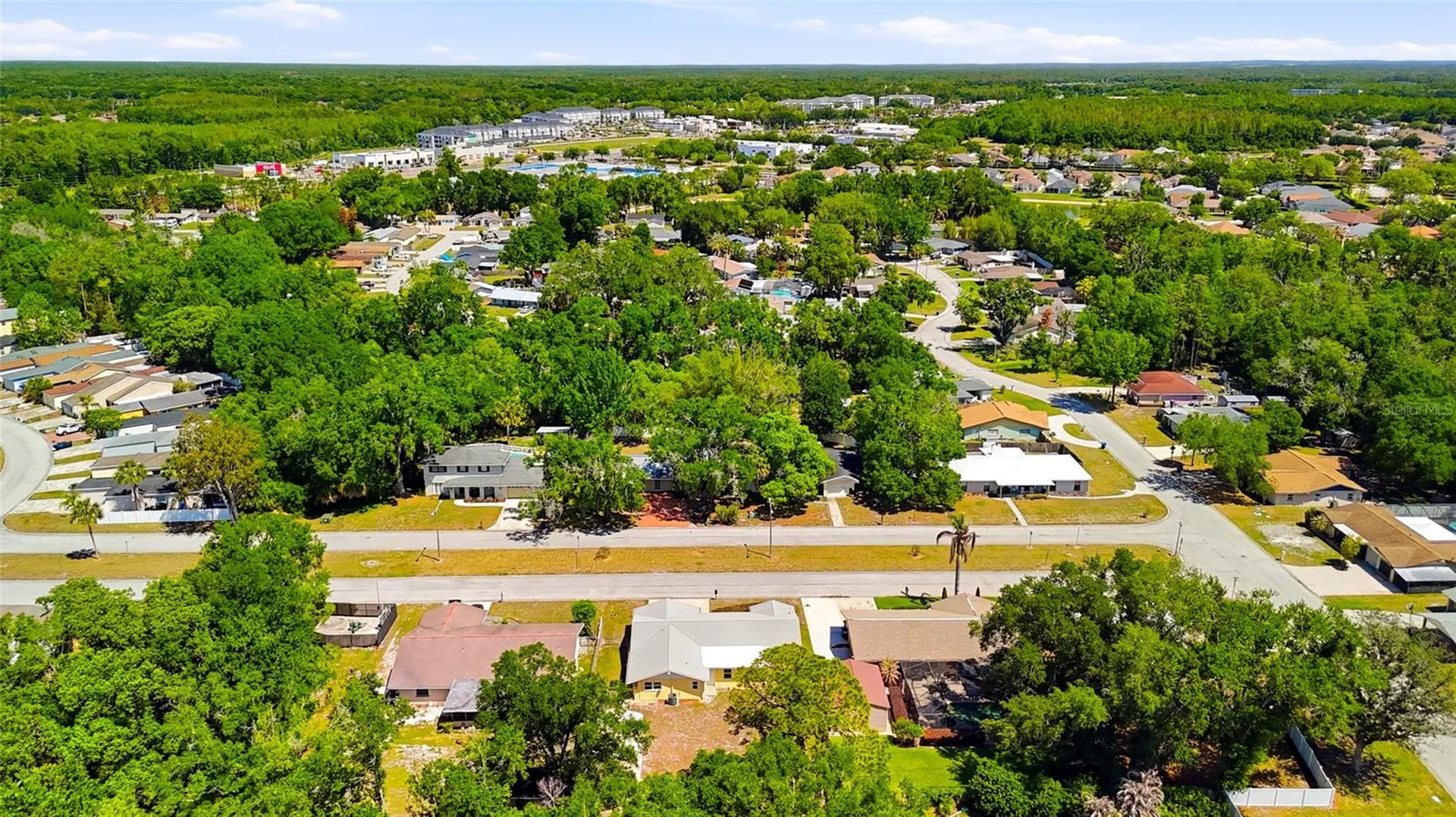 26916 Magnolia Boulevard Lutz FL 33559