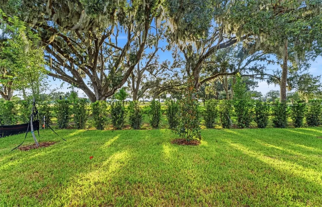 37834 Clinch Circle Zephyrhills FL 33540