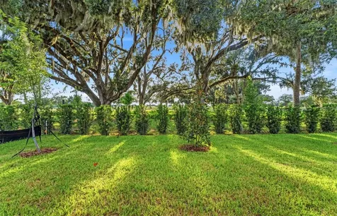 37834 Clinch Circle Zephyrhills FL 33540