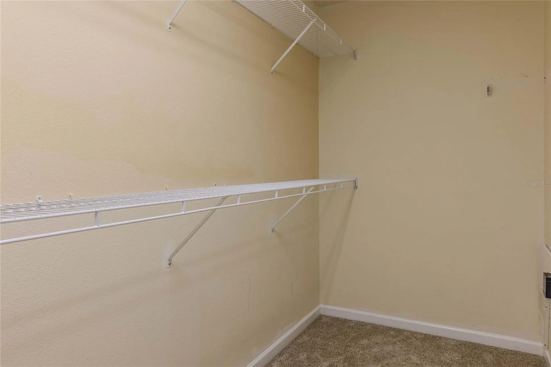 2720 Conch Hollow Drive Brandon FL 33511