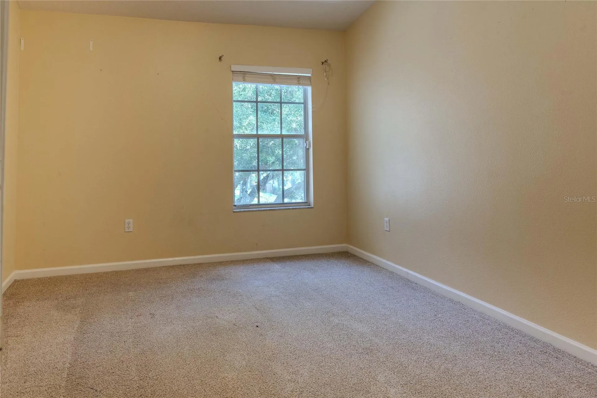 2720 Conch Hollow Drive Brandon FL 33511