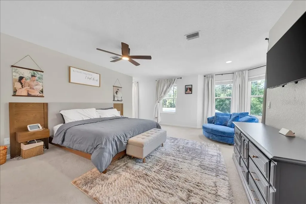 5913 Flatwoods Manor Circle Lithia FL 33547