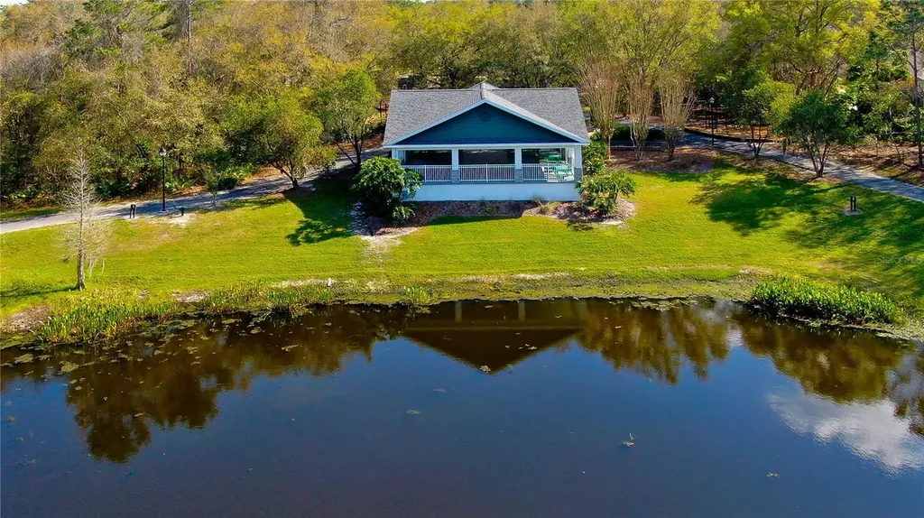 5913 Flatwoods Manor Circle Lithia FL 33547