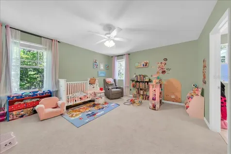 5913 Flatwoods Manor Circle Lithia FL 33547