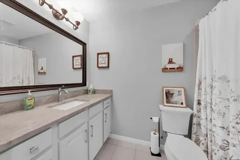 5913 Flatwoods Manor Circle Lithia FL 33547