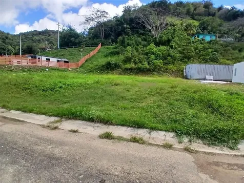 Pr 383 Penuelas PR 00624