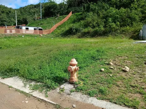 Pr 383 Penuelas PR 00624