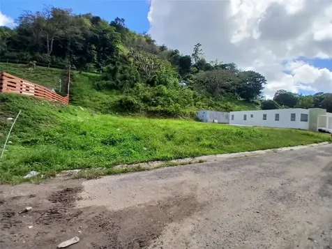 Pr 383 Penuelas PR 00624