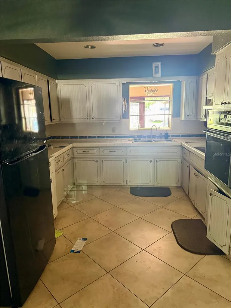 3018 W Aileen Street Tampa FL 33607