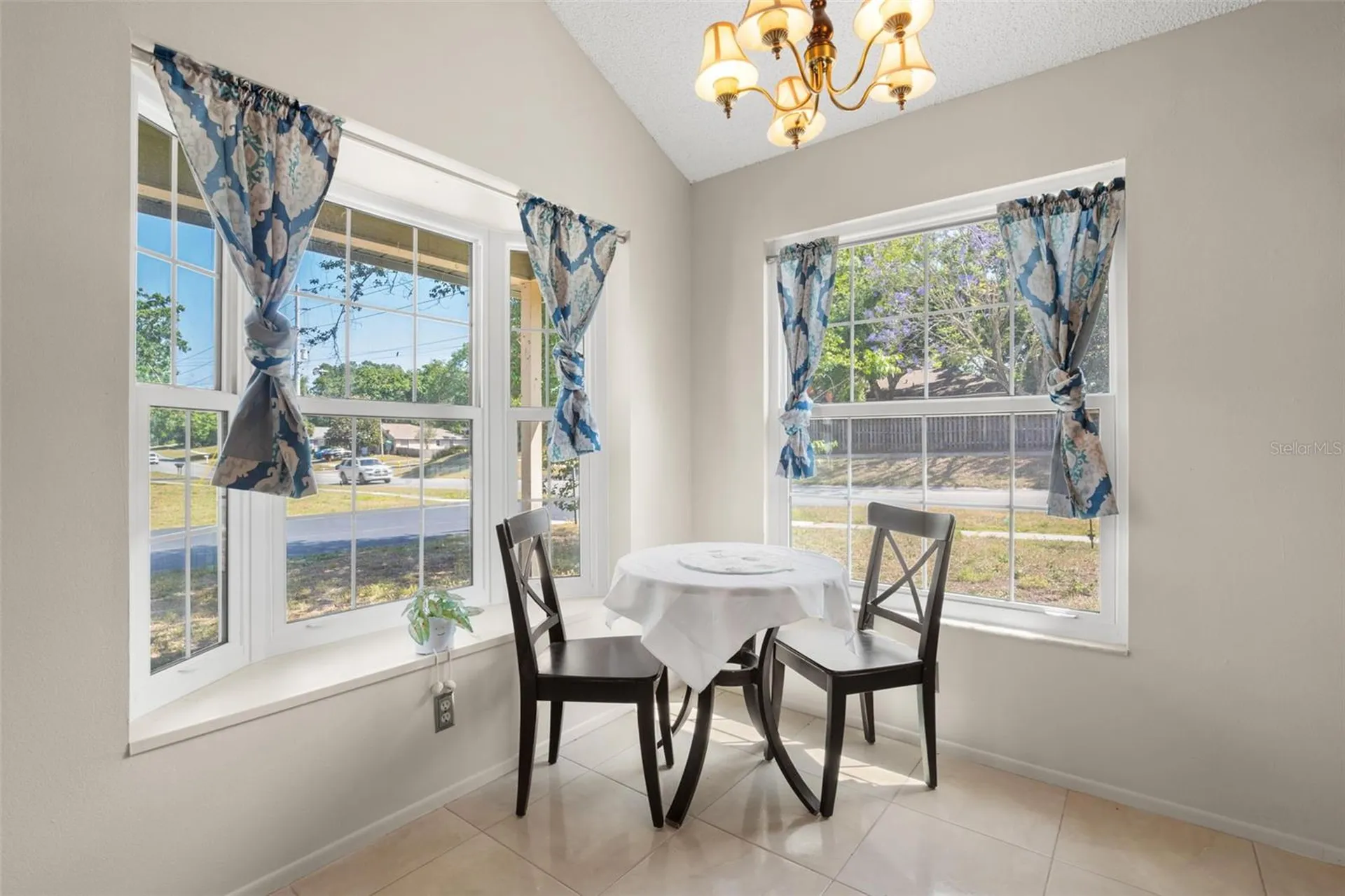 3753 Mackenzie Court Palm Harbor FL 34684