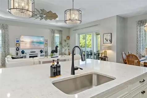 13638 Old Creek Court Parrish FL 34219