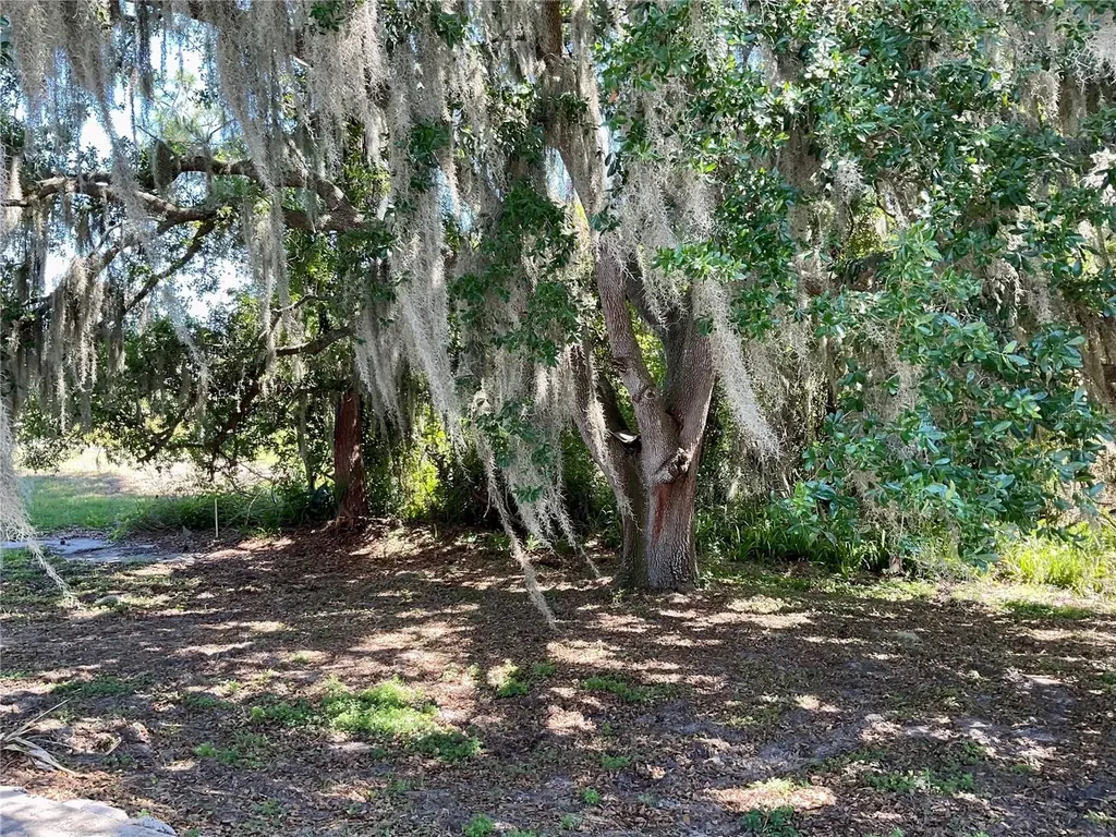 132 Golf Aire Boulevard Haines City FL 33844