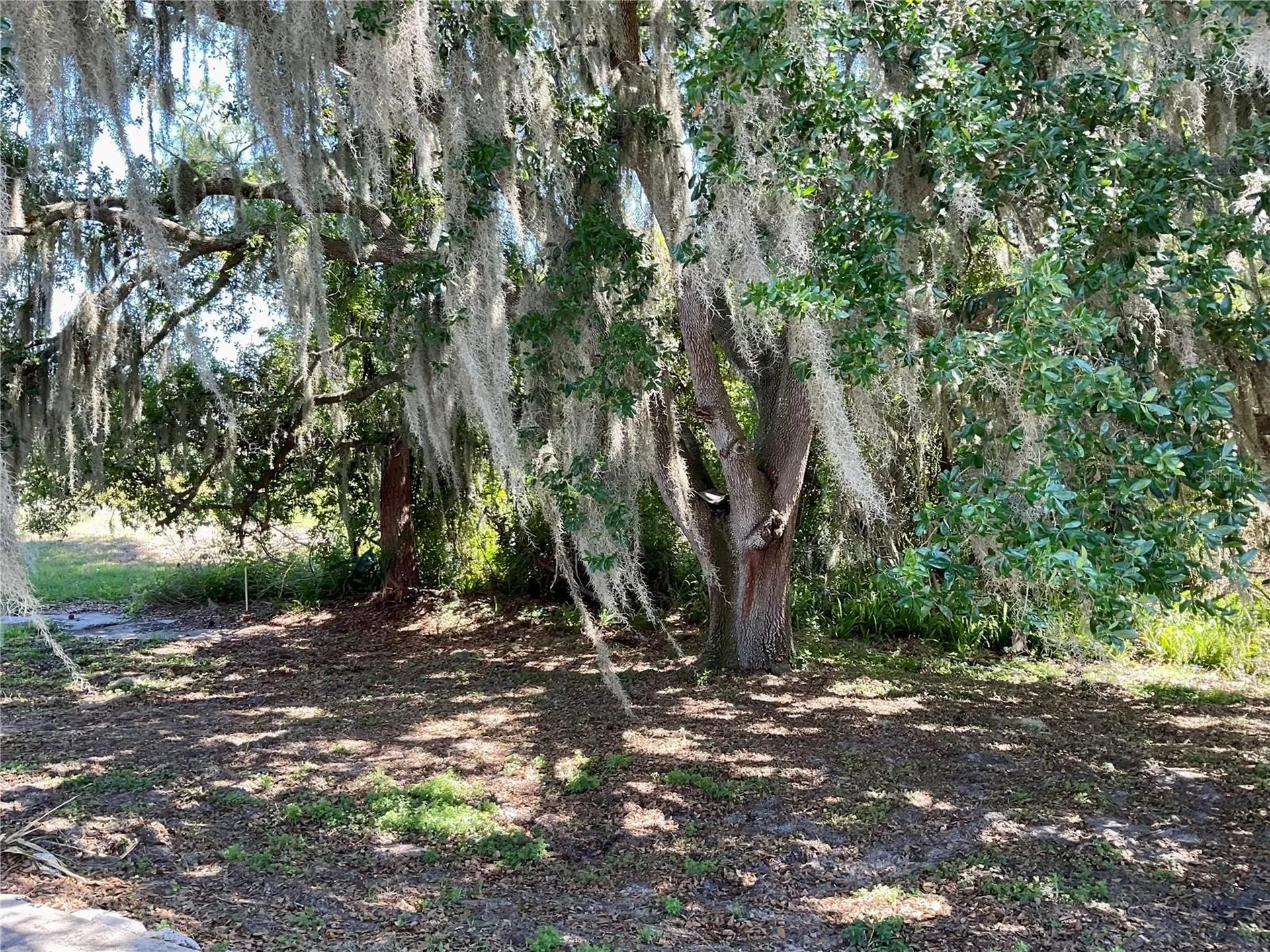 132 Golf Aire Boulevard Haines City FL 33844