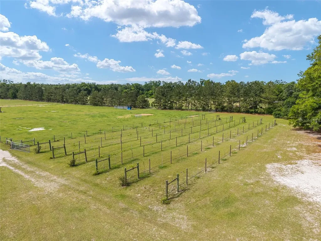 3725 172nd Street Wellborn FL 32094