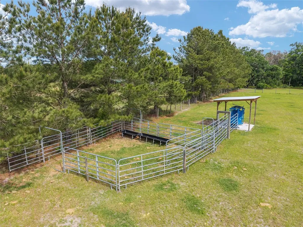3725 172nd Street Wellborn FL 32094