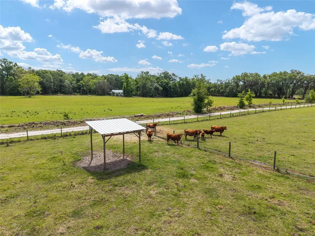 3725 172nd Street Wellborn FL 32094