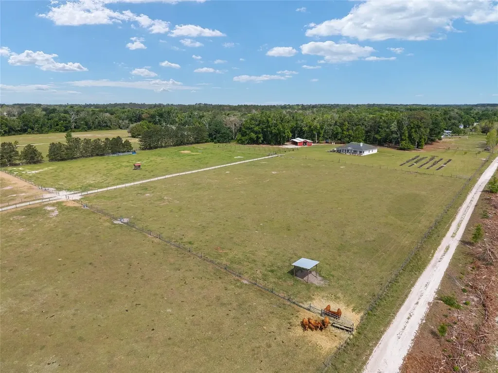 3725 172nd Street Wellborn FL 32094