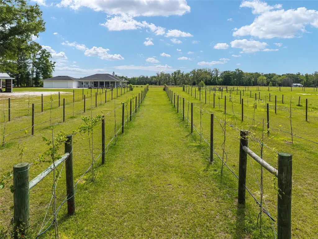 3725 172nd Street Wellborn FL 32094