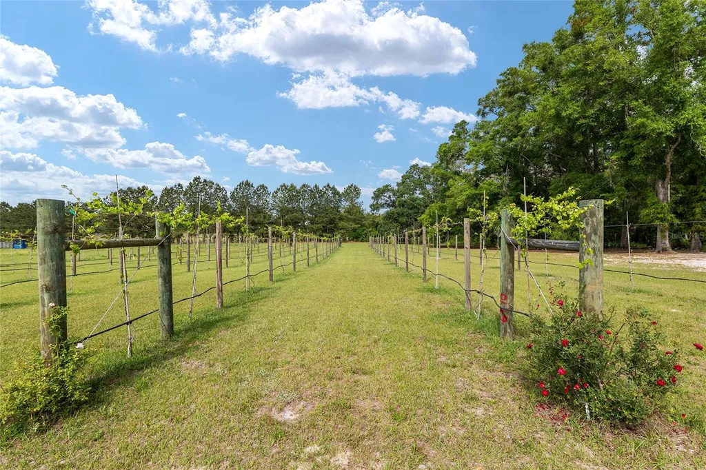 3725 172nd Street Wellborn FL 32094