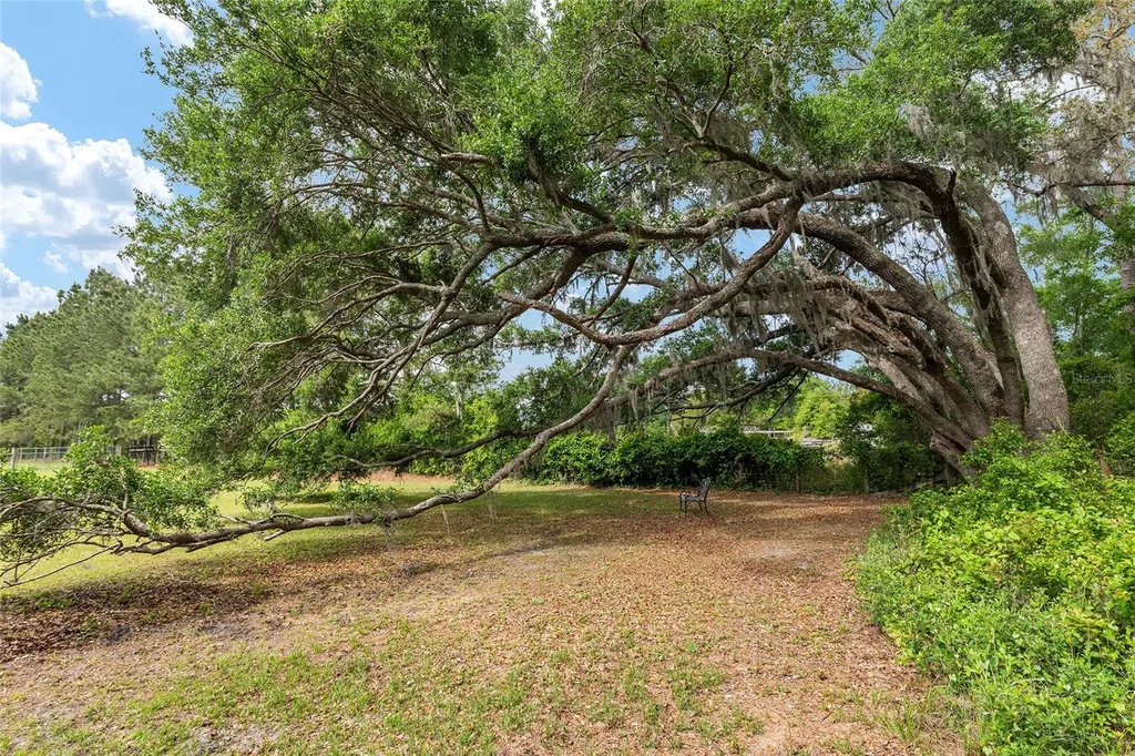 3725 172nd Street Wellborn FL 32094