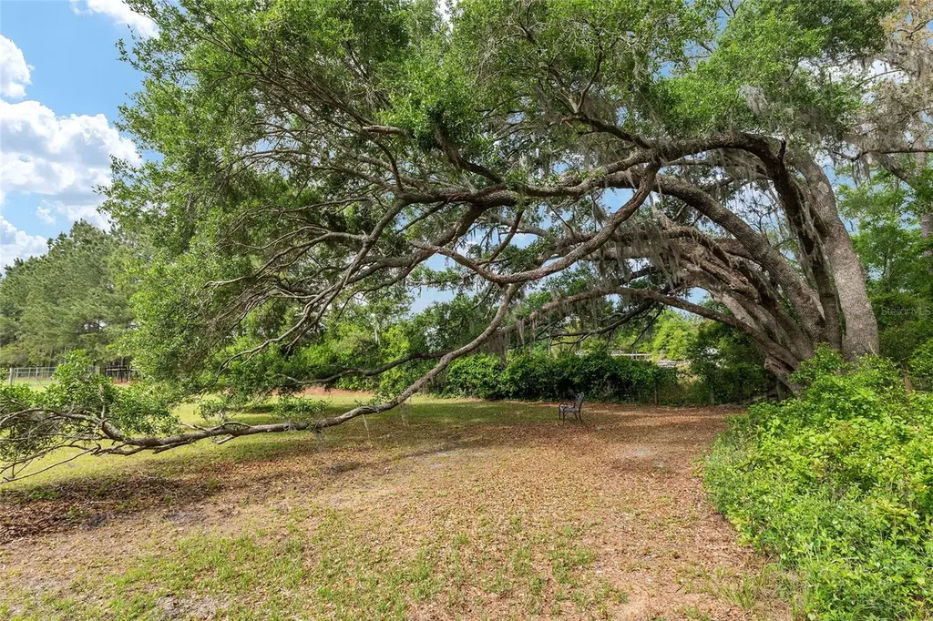 3725 172nd Street Wellborn FL 32094