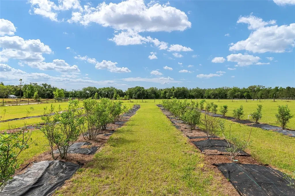 3725 172nd Street Wellborn FL 32094