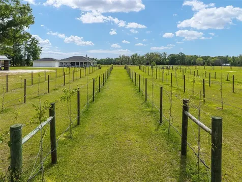 3725 172nd Street Wellborn FL 32094