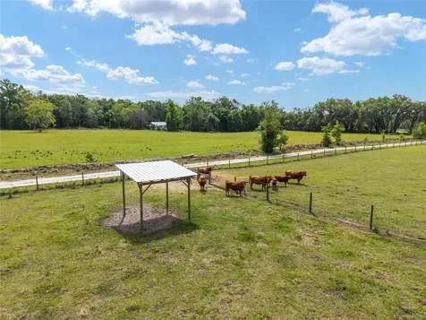 3725 172nd Street Wellborn FL 32094