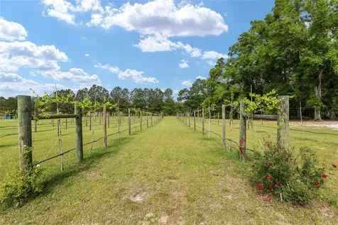 3725 172nd Street Wellborn FL 32094