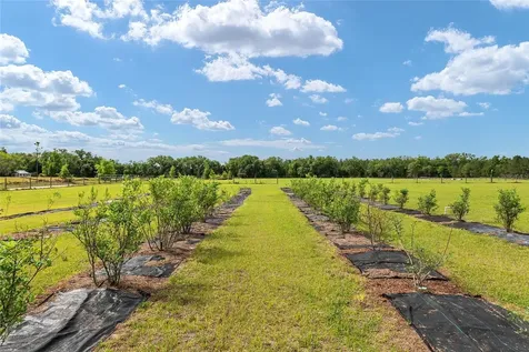 3725 172nd Street Wellborn FL 32094