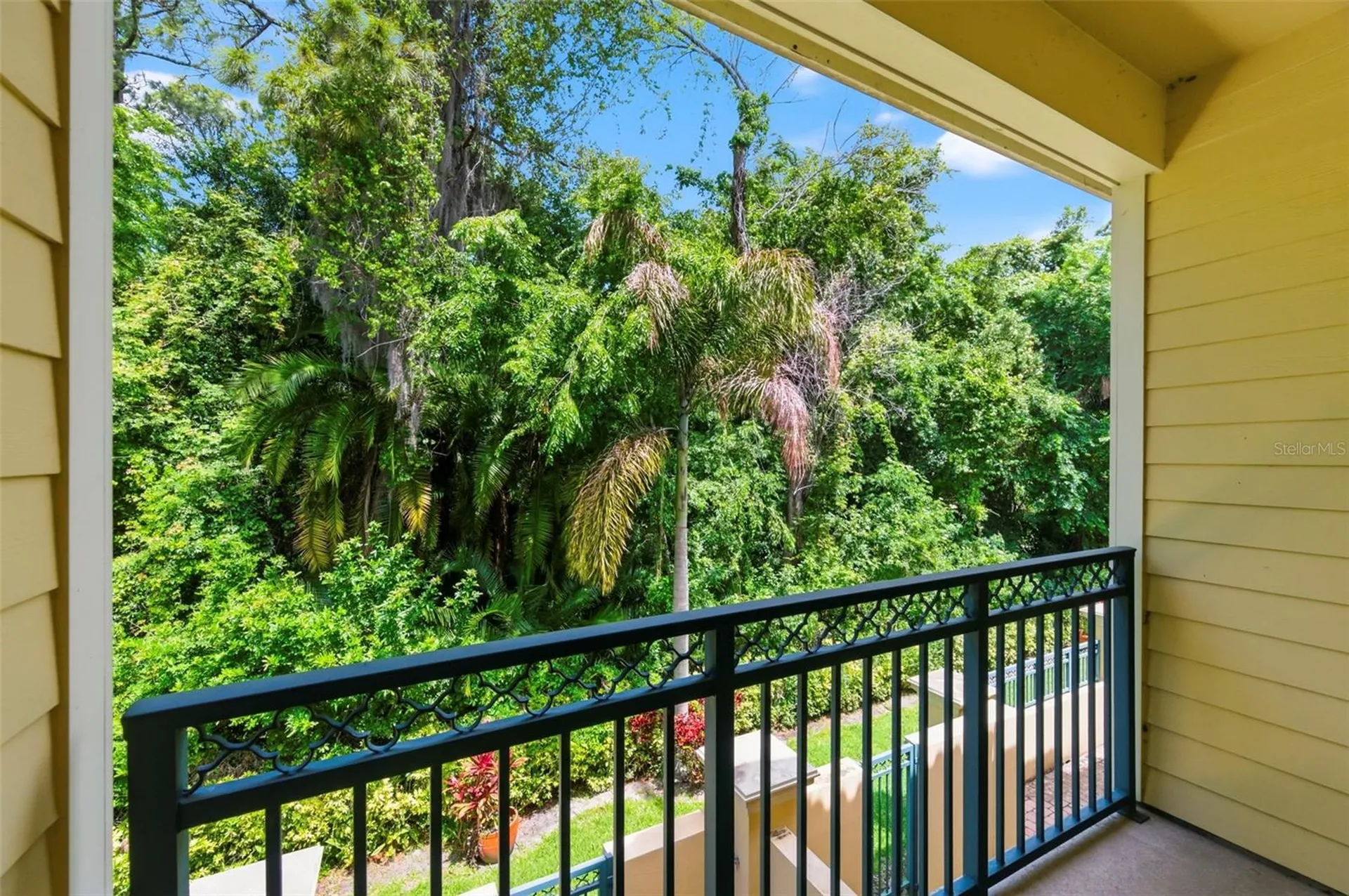 2670 Tanglewood Trail Palm Harbor FL 34685