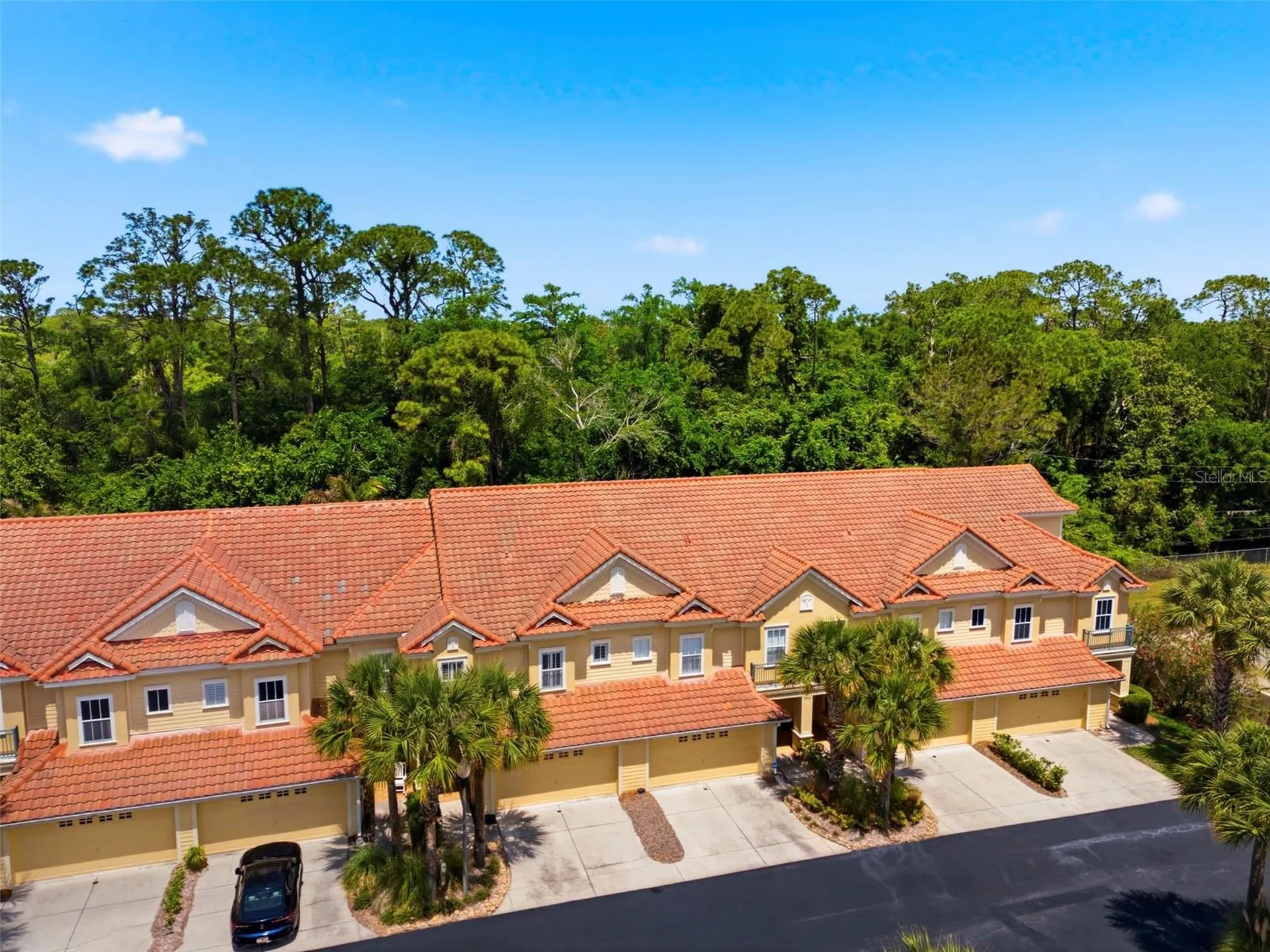 2670 Tanglewood Trail Palm Harbor FL 34685