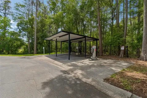 13765 Juniper Blossom Drive Tampa FL 33618
