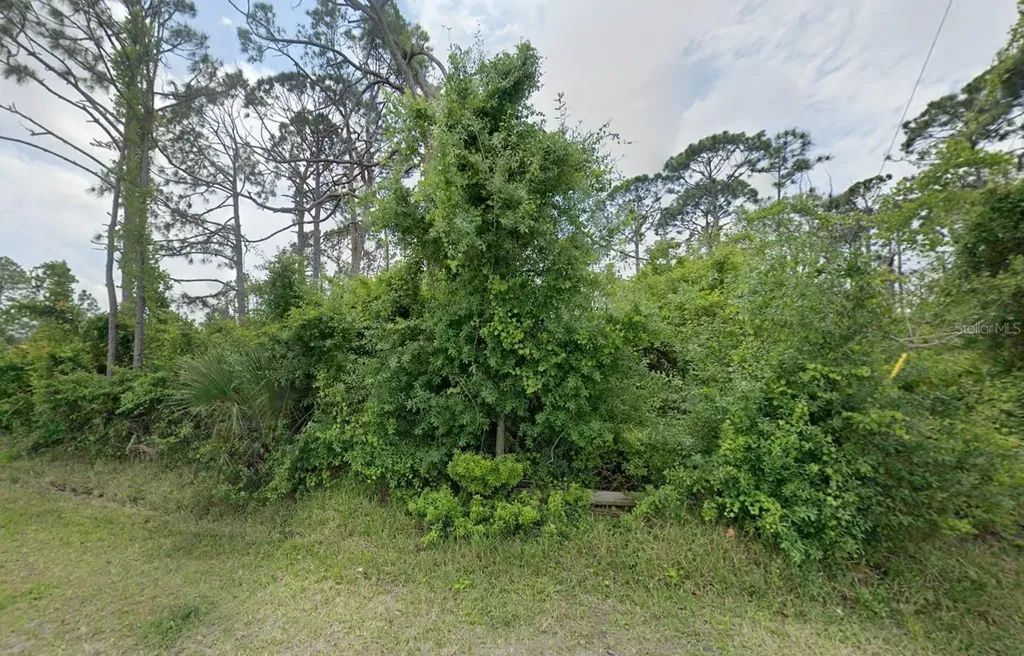 12519 Patsy Avenue Port Charlotte FL 33981