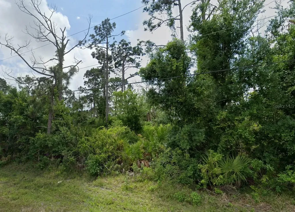 12519 Patsy Avenue Port Charlotte FL 33981