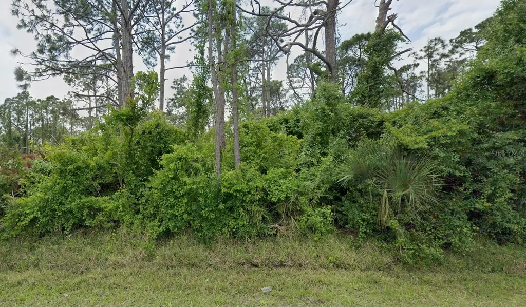 12519 Patsy Avenue Port Charlotte FL 33981