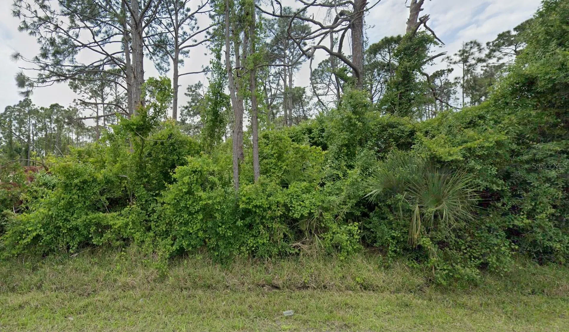 12519 Patsy Avenue Port Charlotte FL 33981