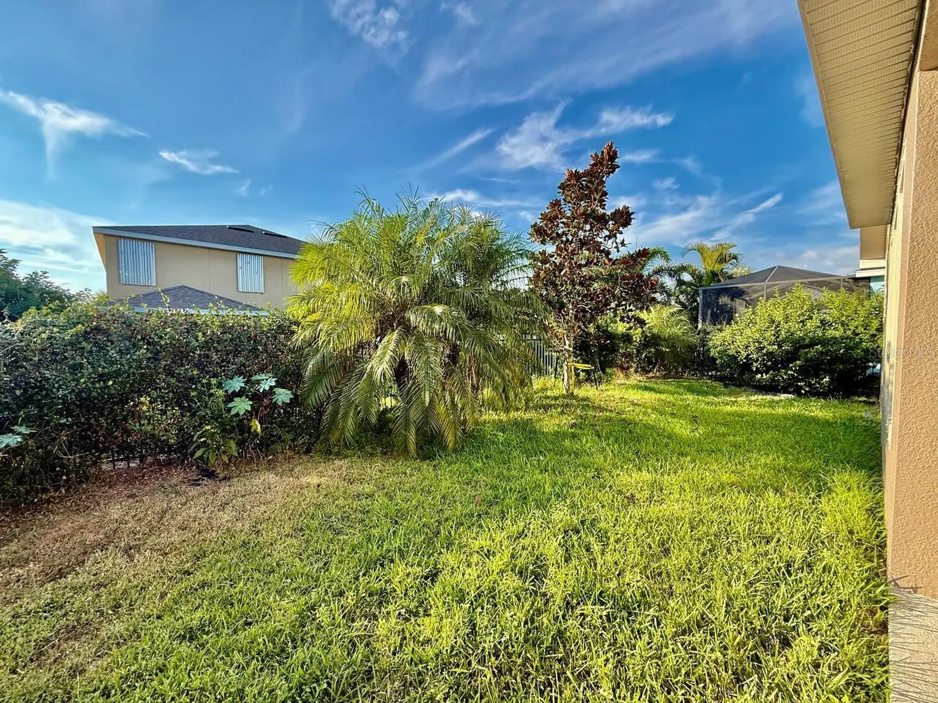 6414 Salt Creek Avenue Apollo Beach FL 33572