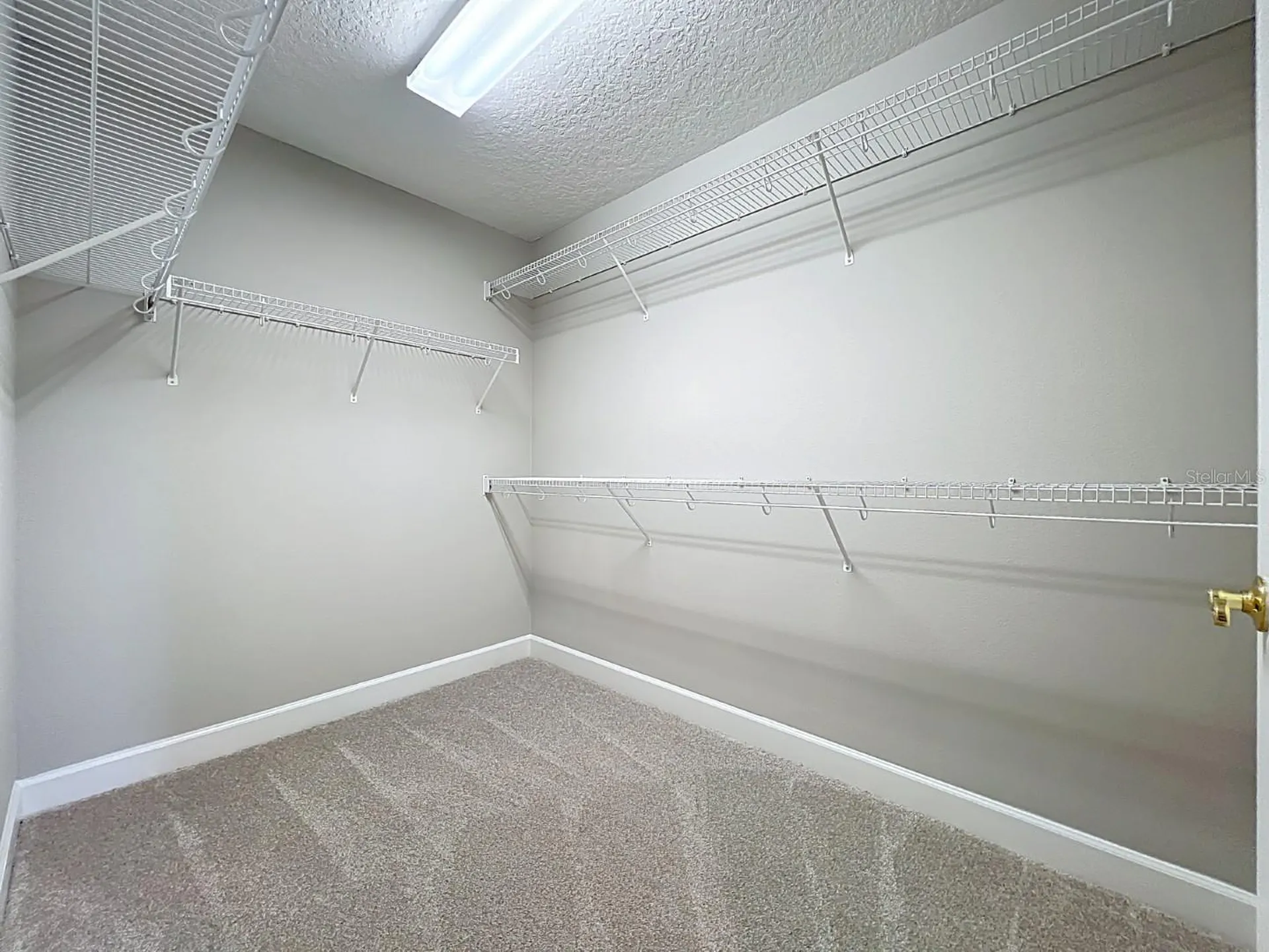 3633 Turningwind Lane Winter Garden FL 34787