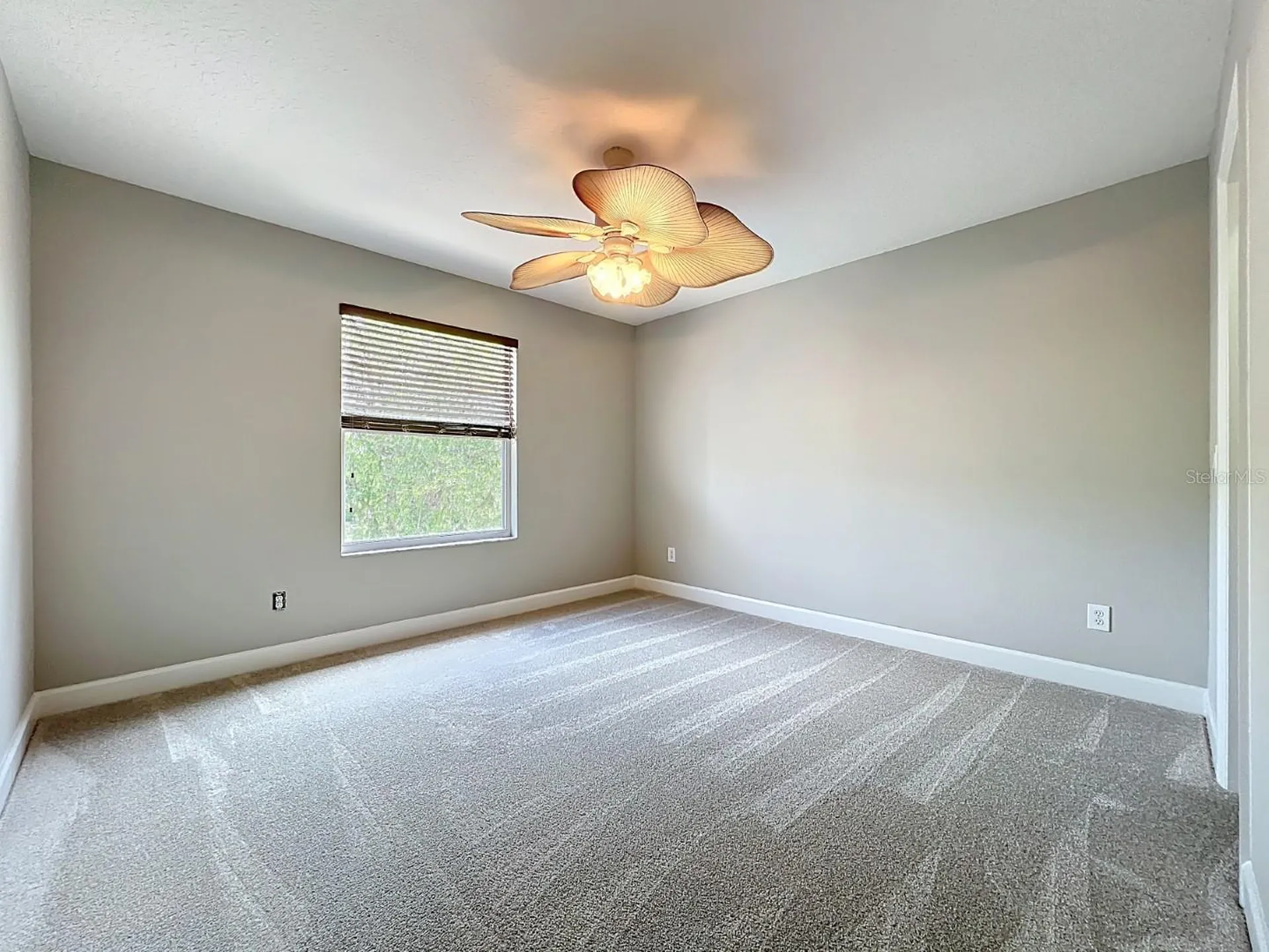 3633 Turningwind Lane Winter Garden FL 34787